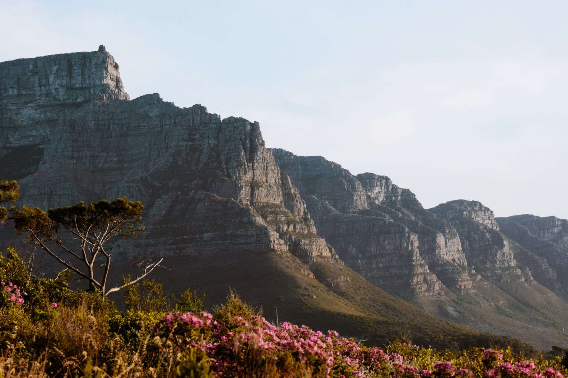 kaapstad tafelberg