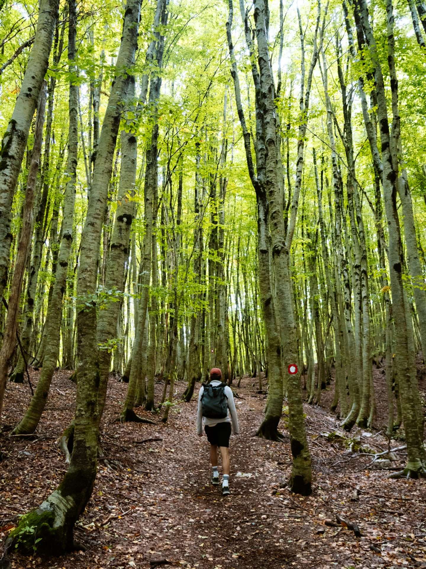 wandelen lovcen national park