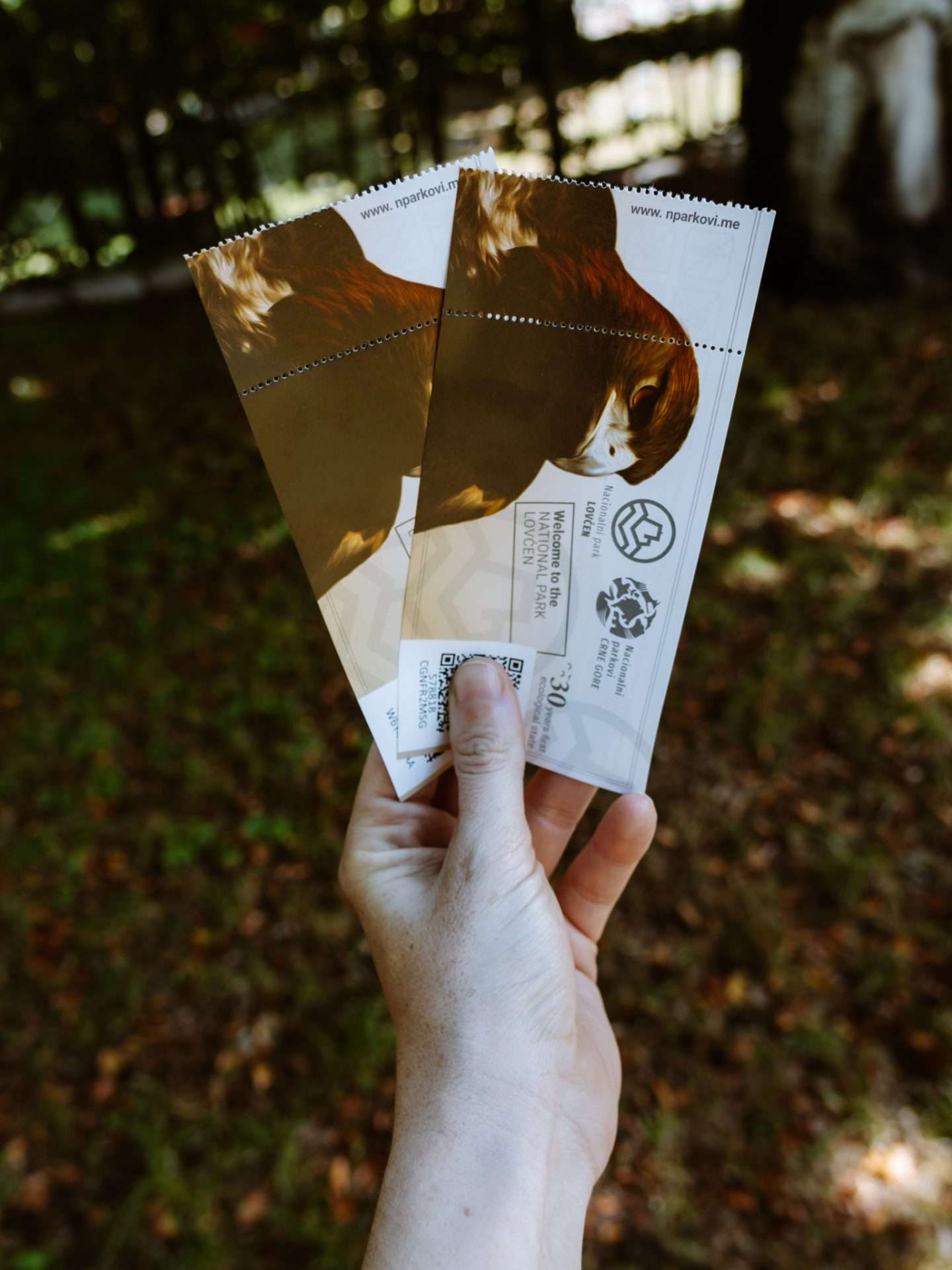 tickets lovcen montenegro