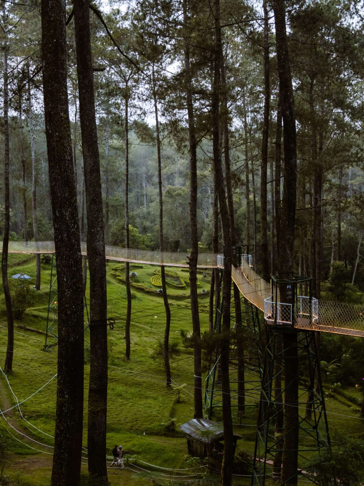 orchid forest bandung