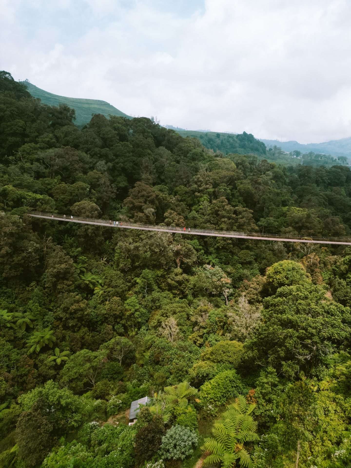 suspension bridge bandung