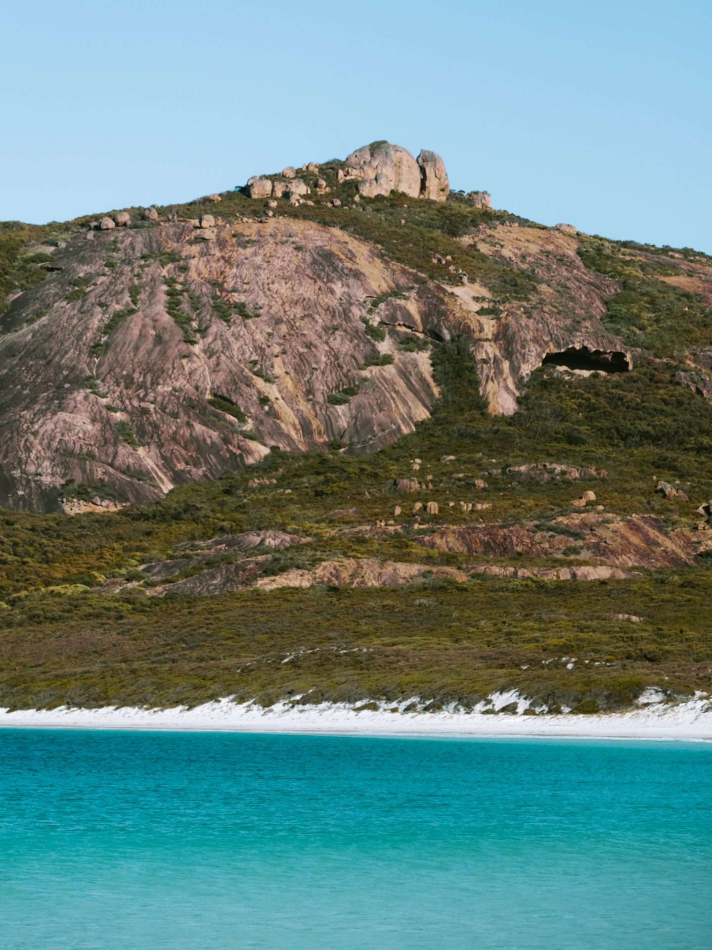 thistle cove