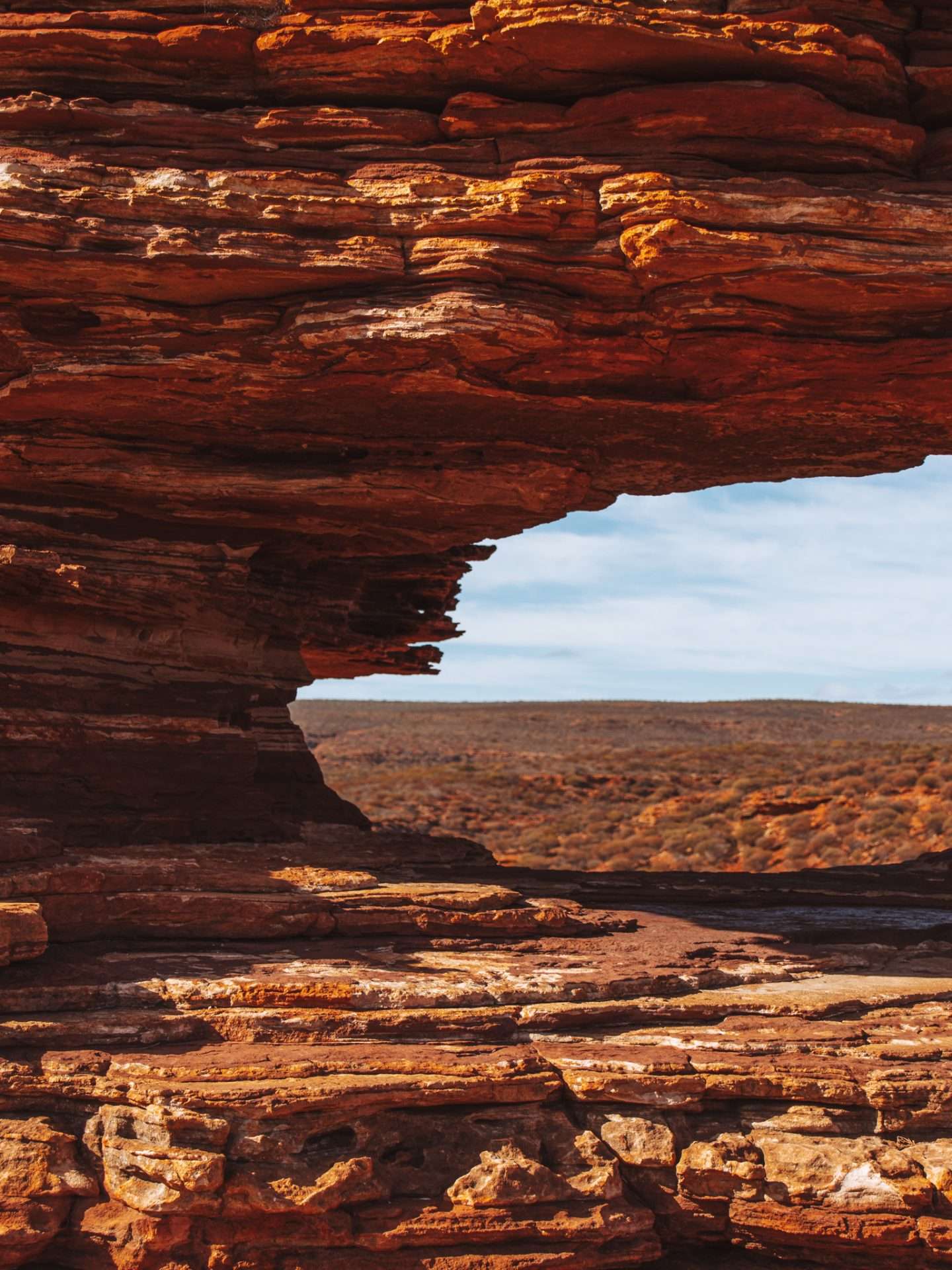 nature's window