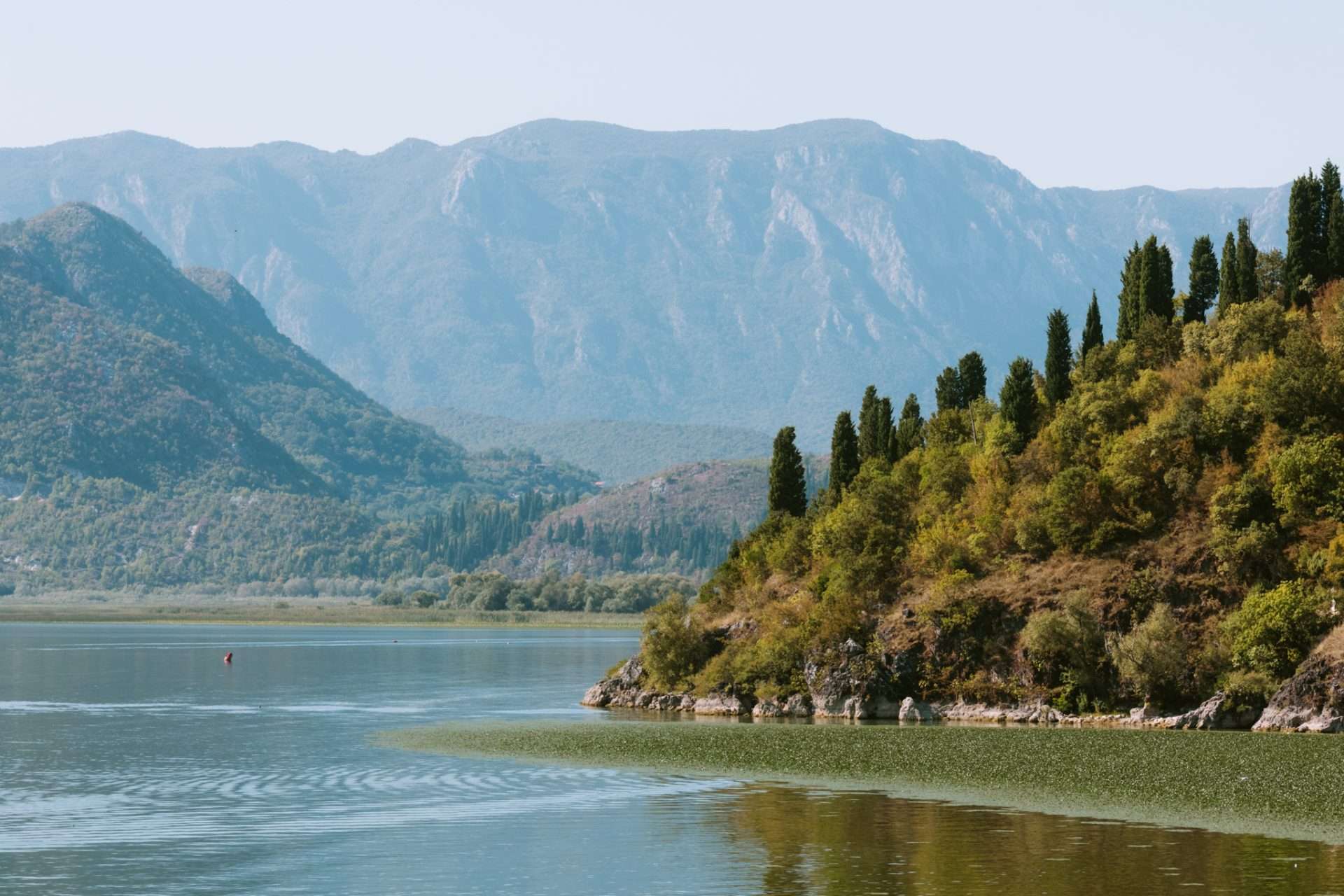skadar meer montenegro