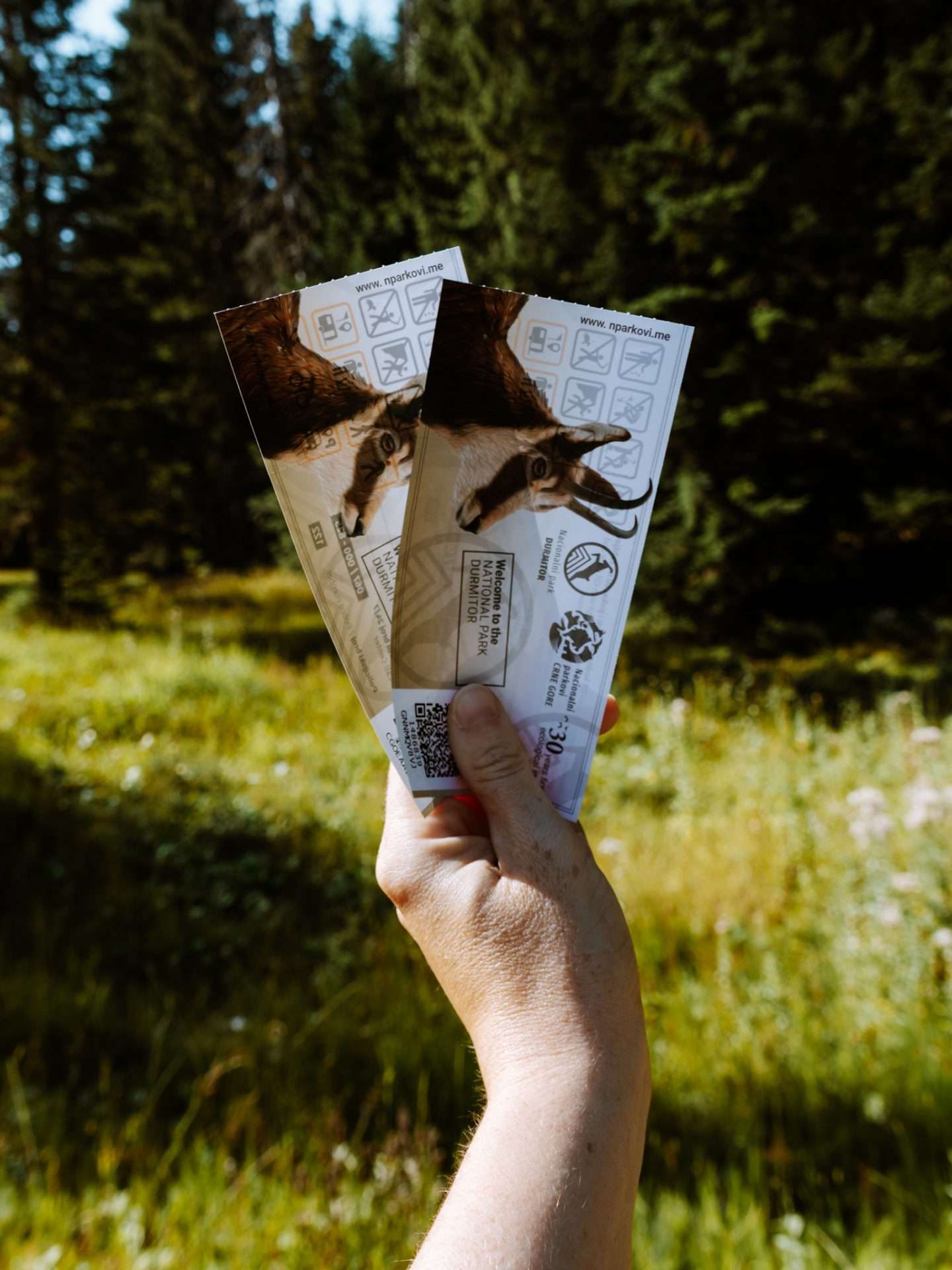 tickets durmitor national park