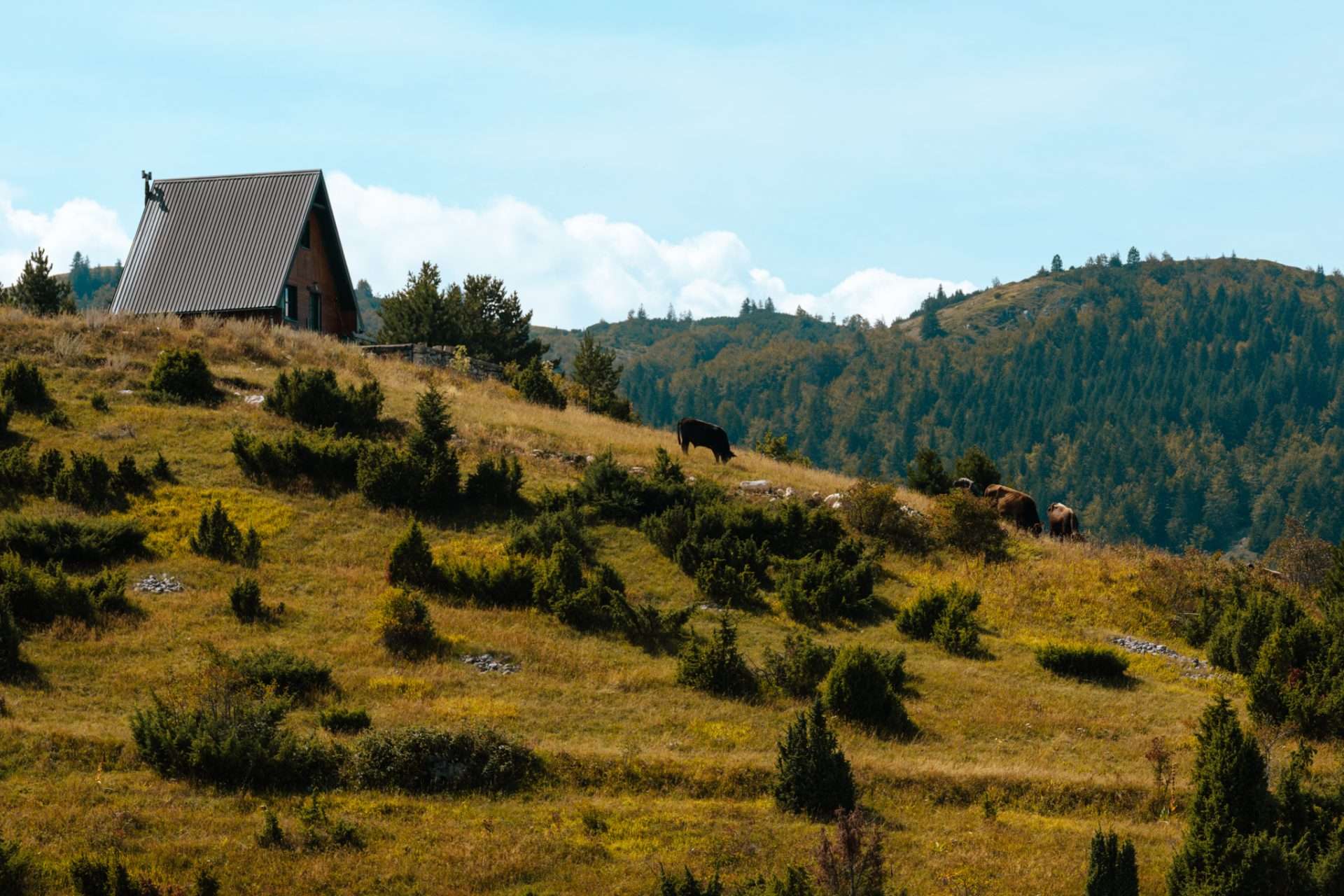 durmitor national park montenegro