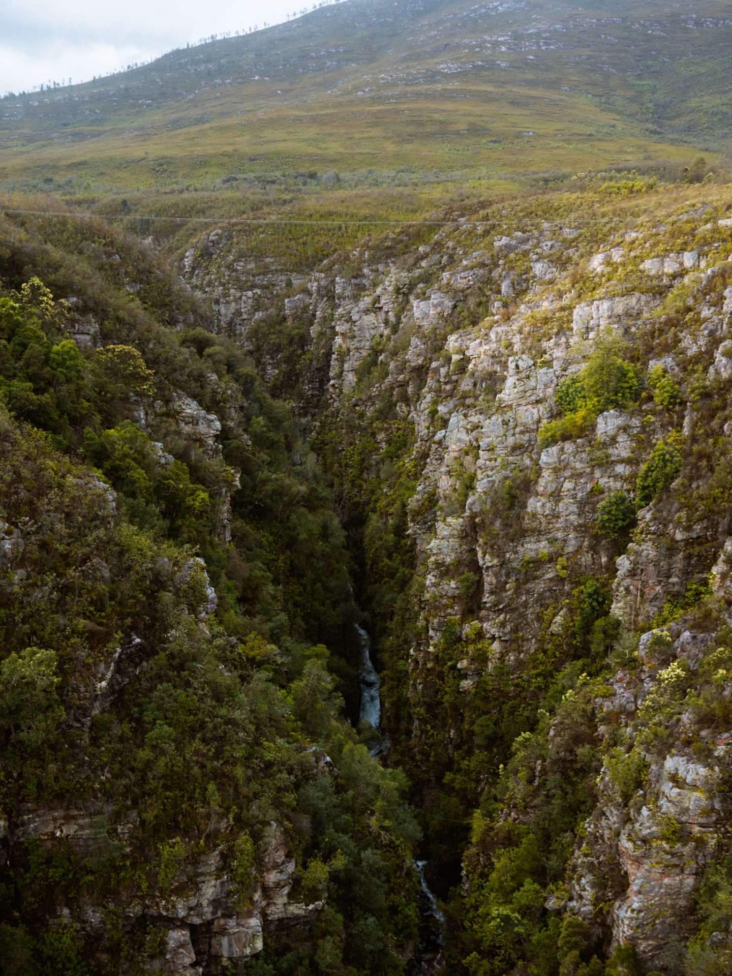 garden route zuid-afrika