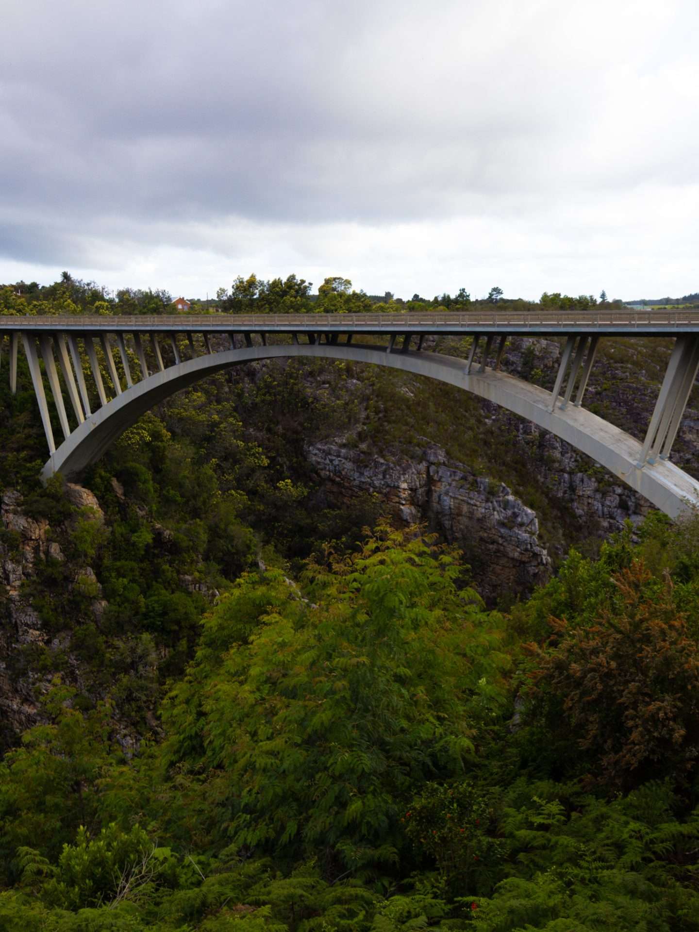 bloukrans bridge 