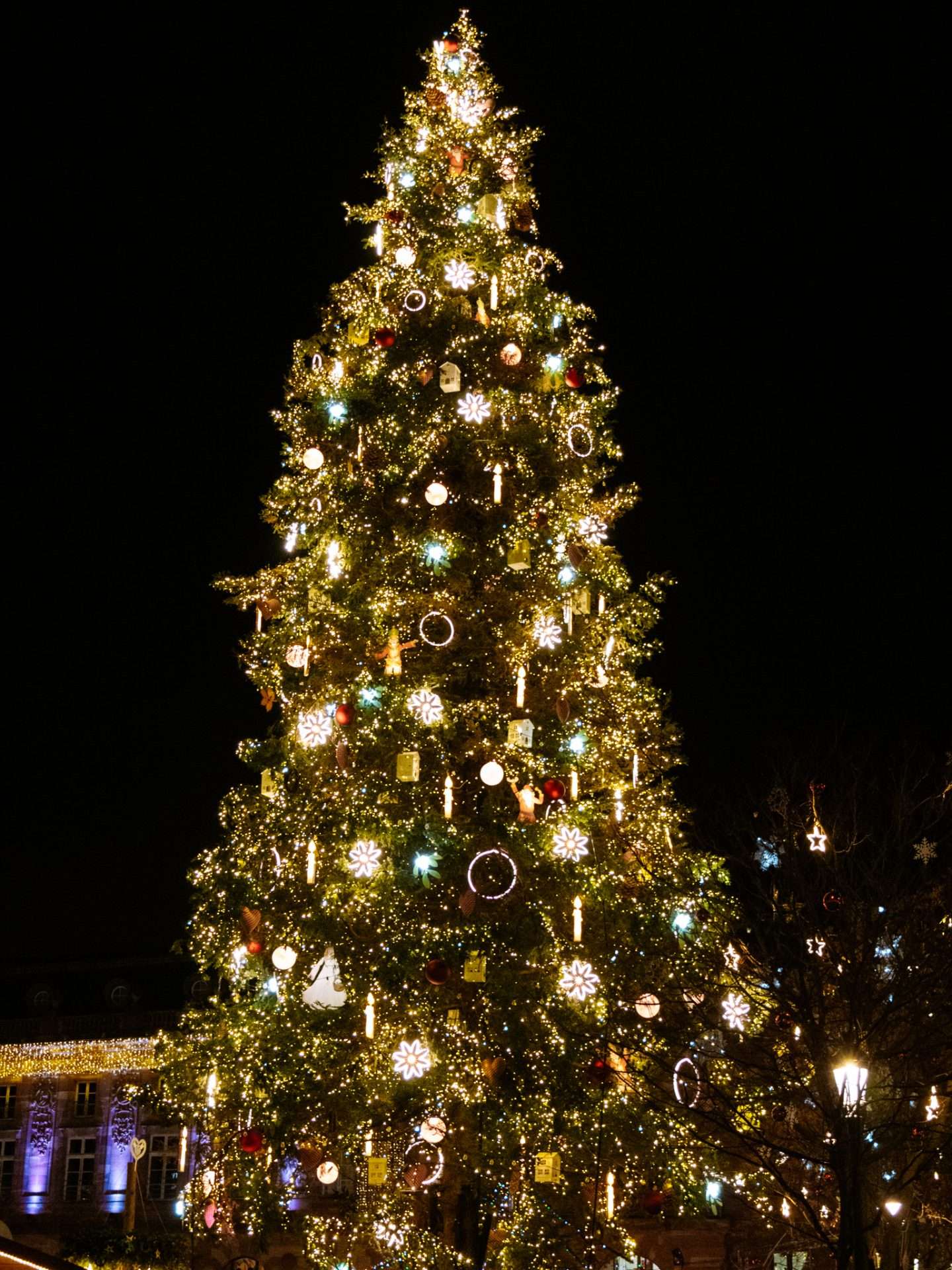 grand sapin straatsburg