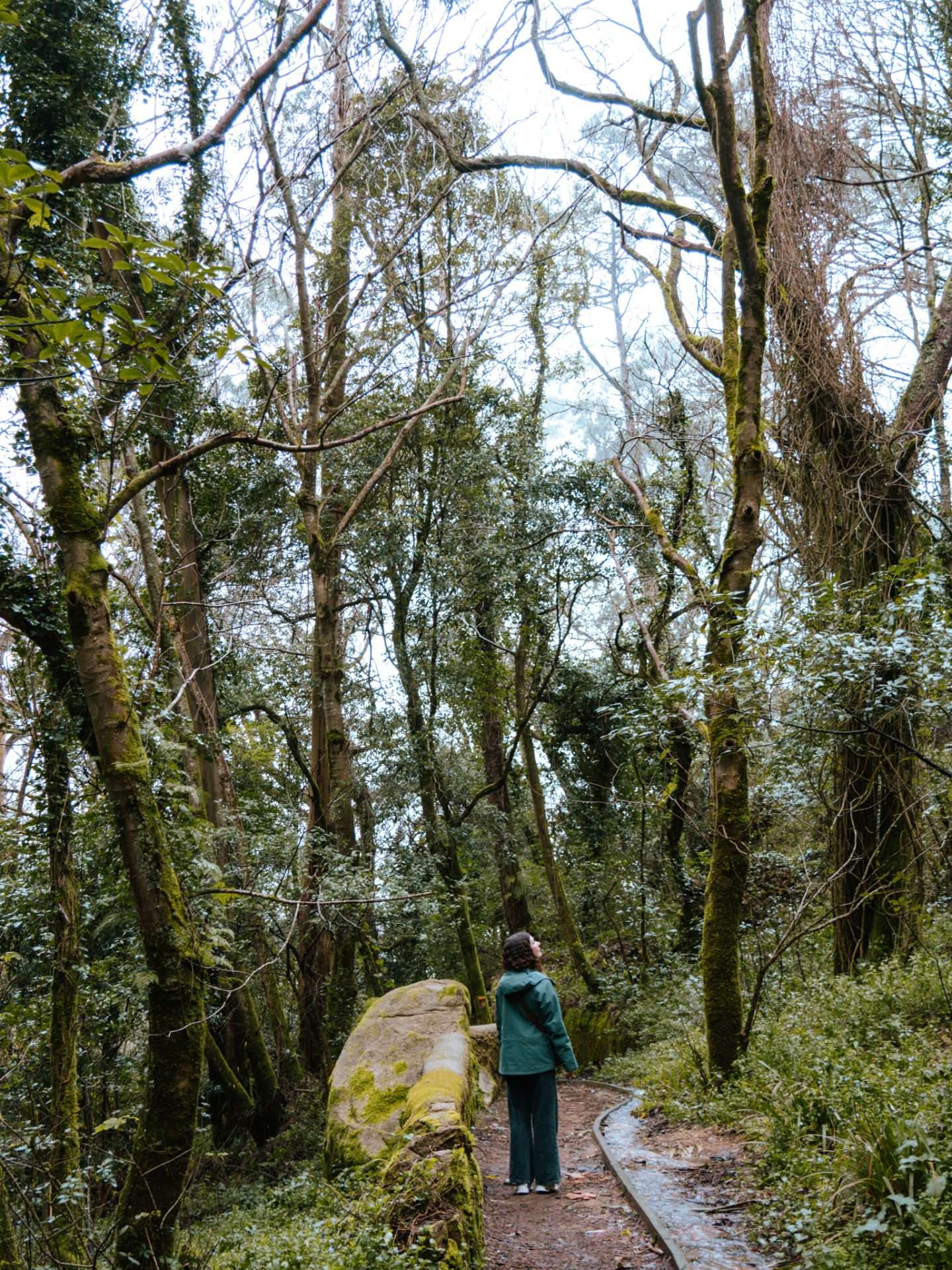 wandelen in sintra