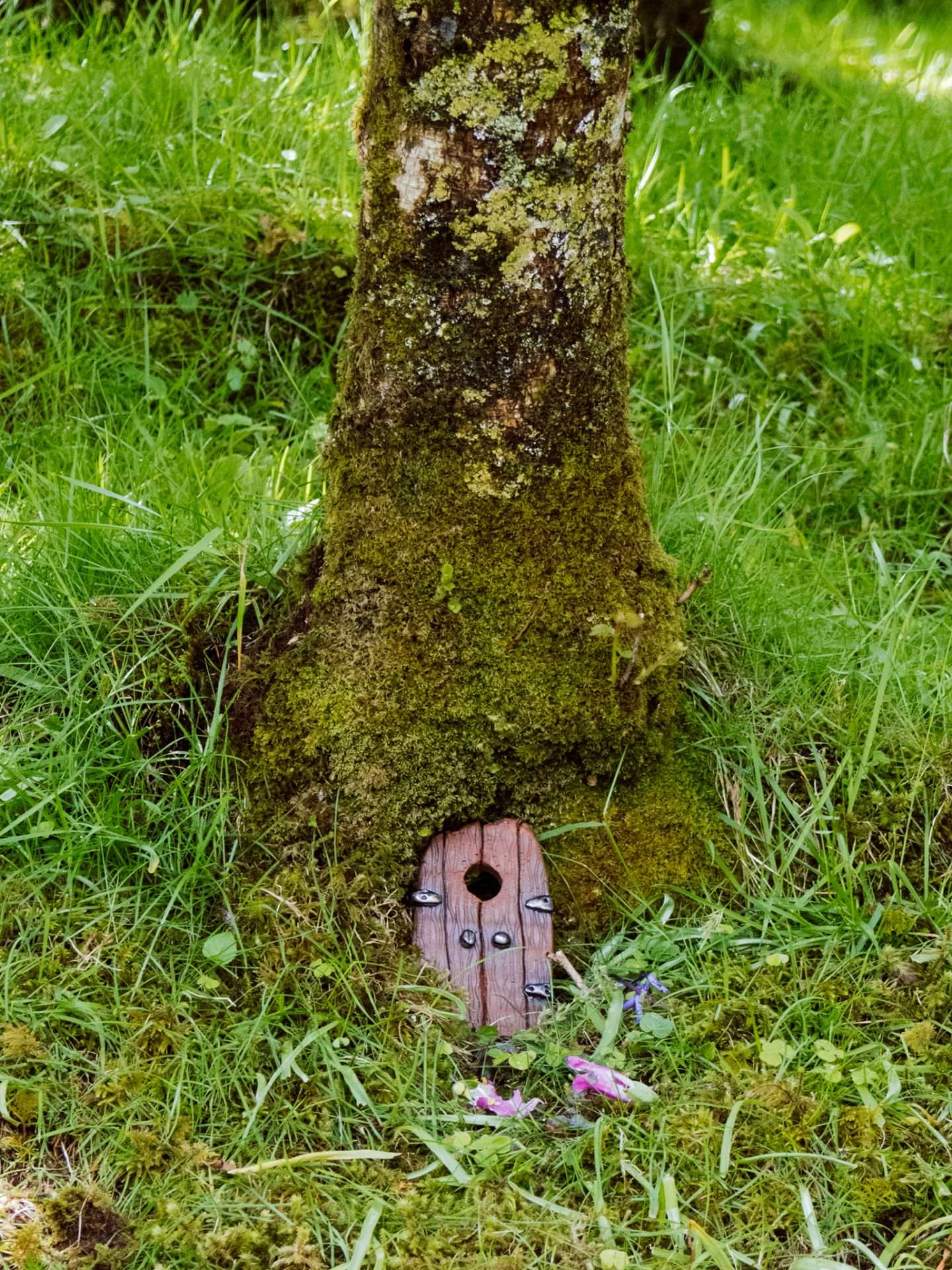 fairy glen