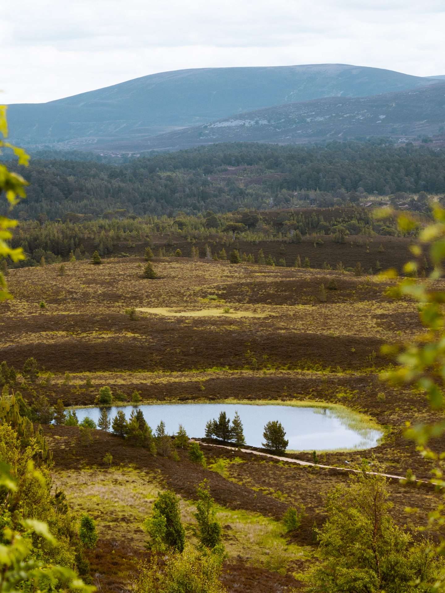 cairngorms national park