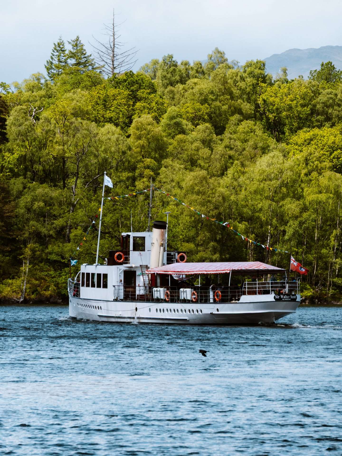 sir walter scott steamship